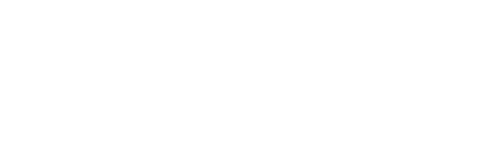 Logo TT Yachts Charter blanco