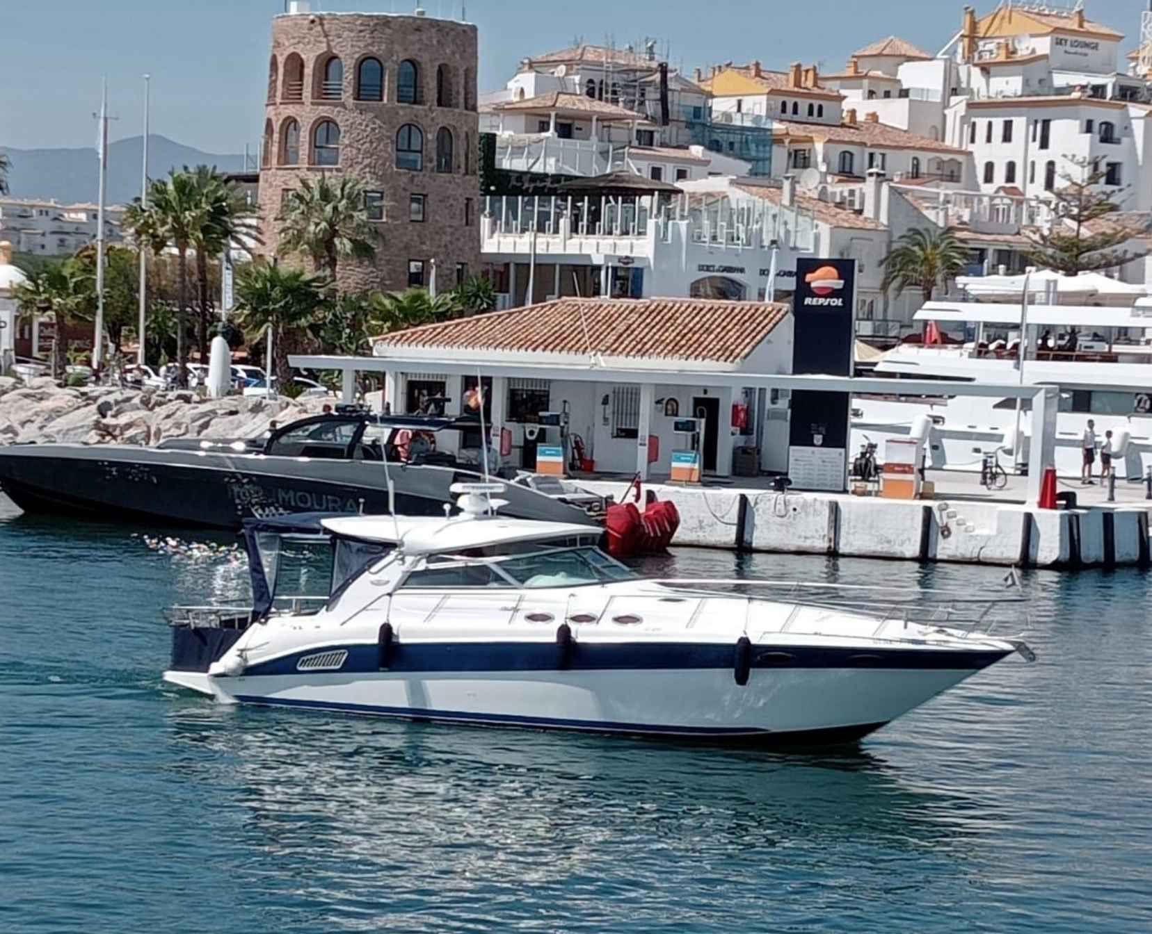 Sea Ray pesca (1)
